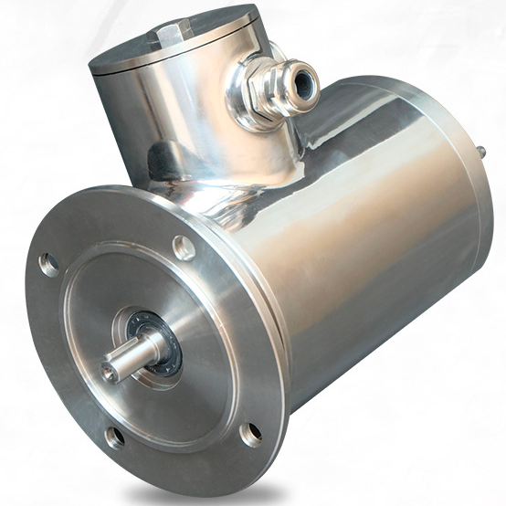 IEC Stainless Steel IP69K Motor