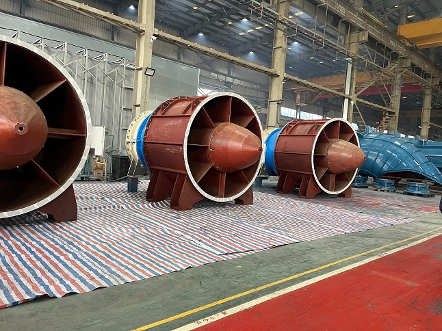 Custom 900kW 20-Pole Submersible Motor for Huangpu River Project